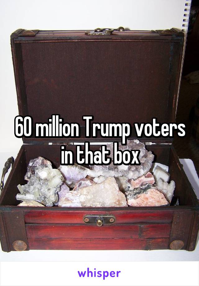 60 million Trump voters in that box