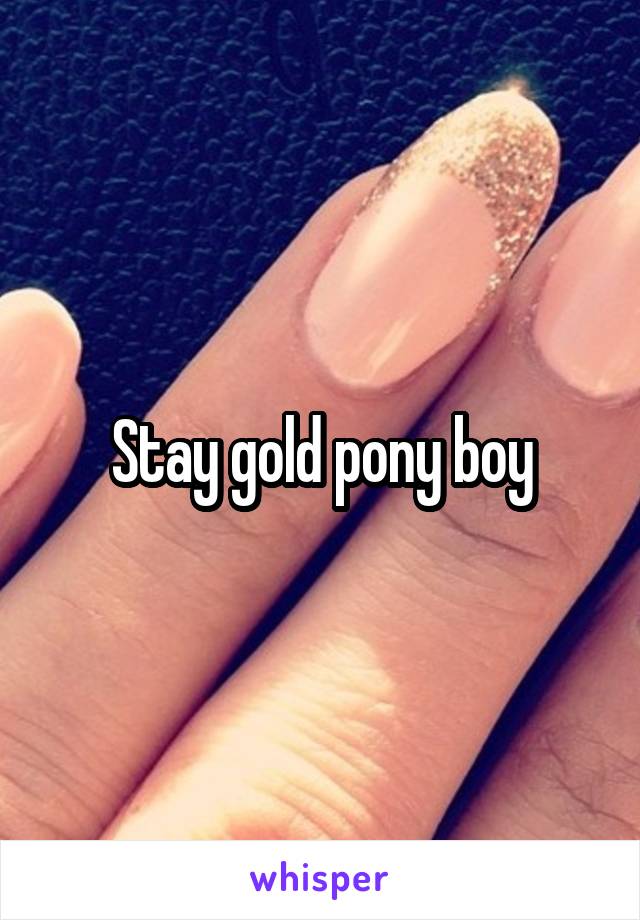Stay gold pony boy
