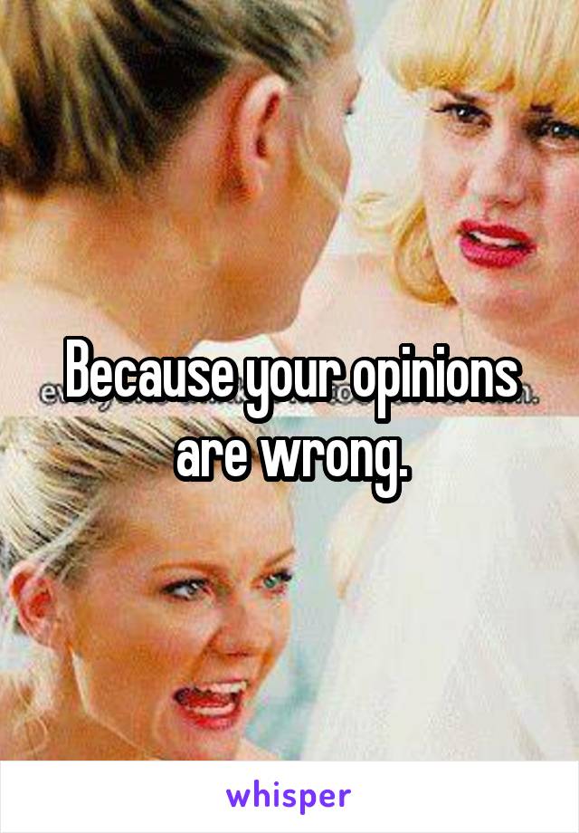 Because your opinions are wrong.