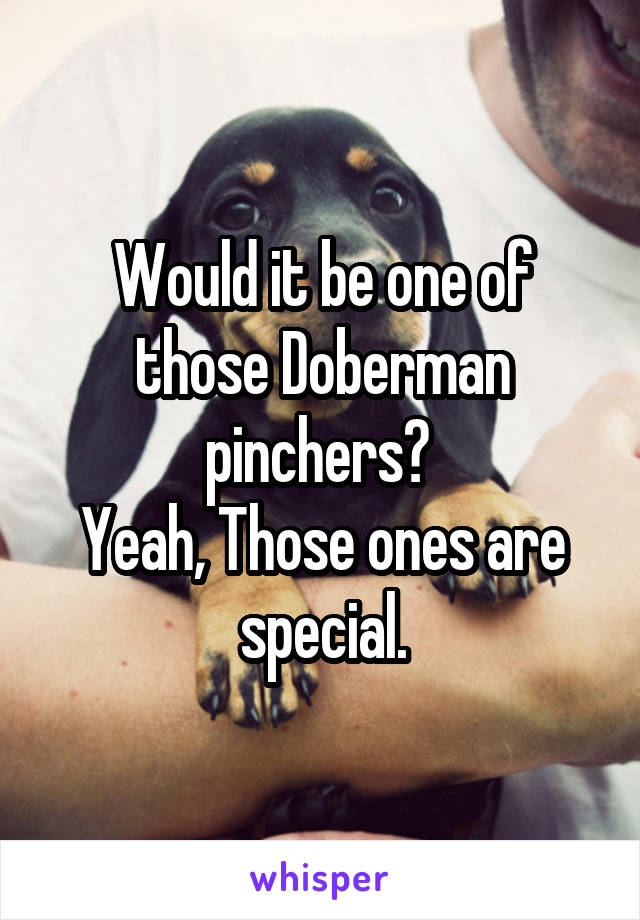Would it be one of those Doberman pinchers? 
Yeah, Those ones are special.