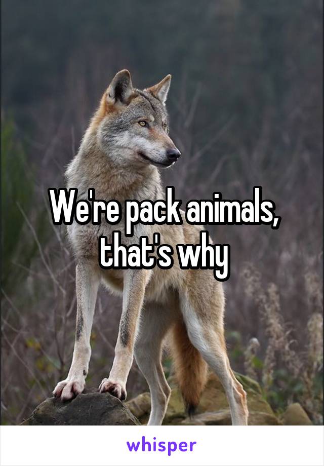 We're pack animals, that's why