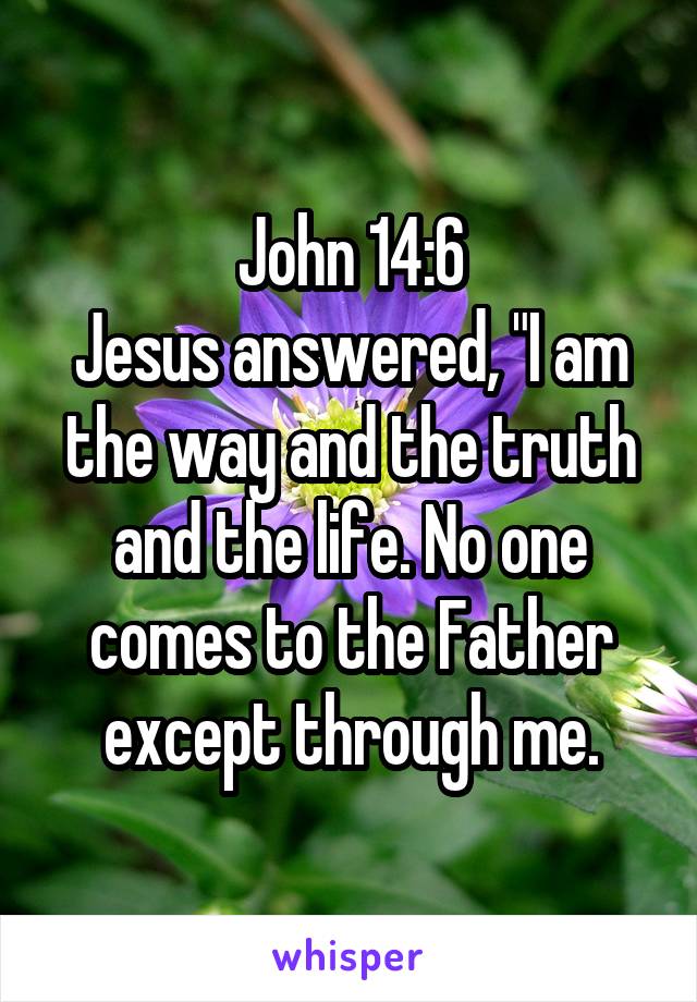 John 14:6
Jesus answered, "I am the way and the truth and the life. No one comes to the Father except through me.
