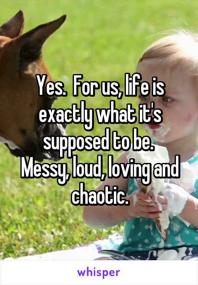 Yes.  For us, life is exactly what it's supposed to be. 
Messy, loud, loving and chaotic.