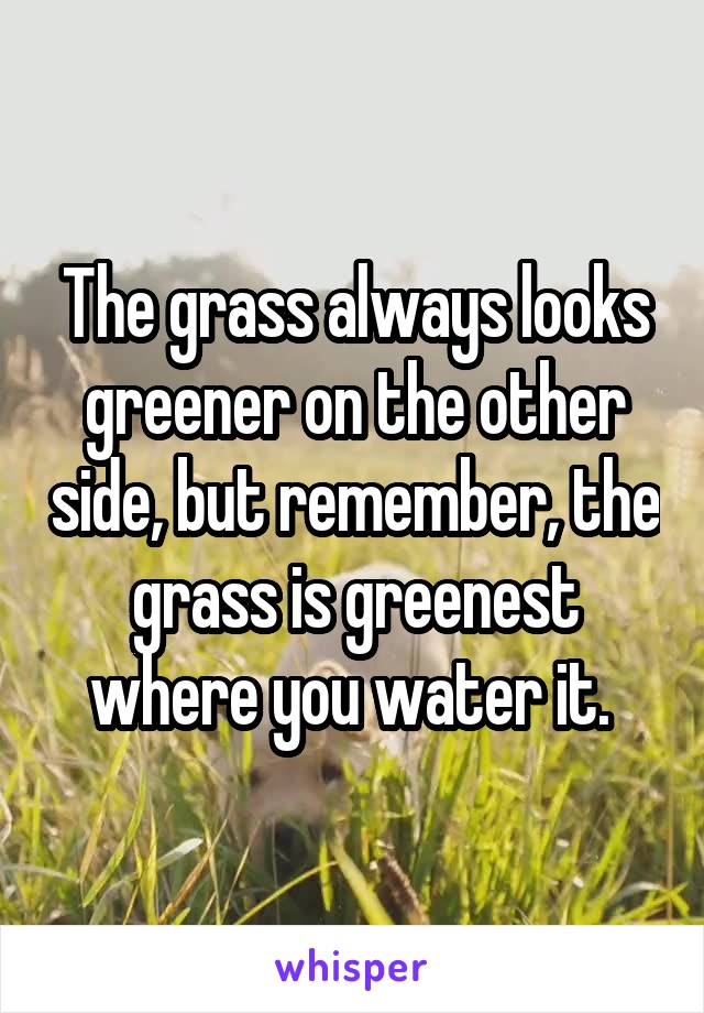 The grass always looks greener on the other side, but remember, the grass is greenest where you water it. 