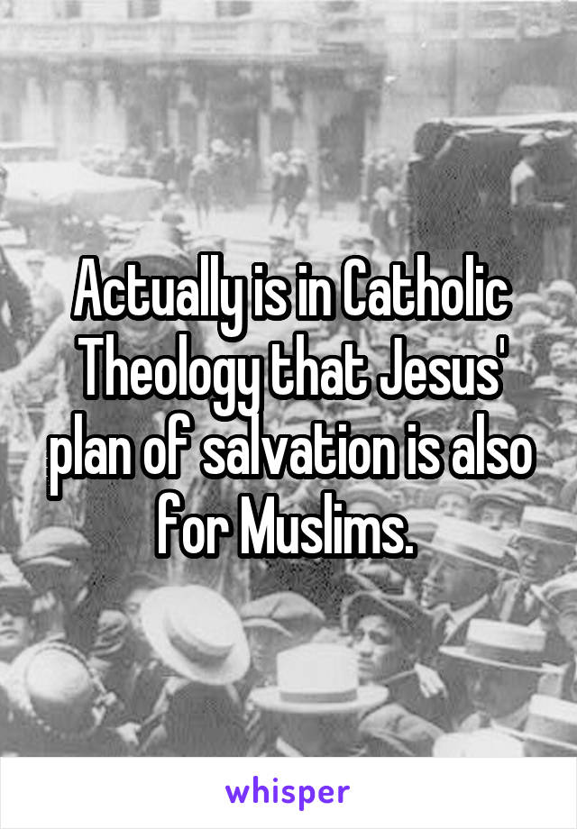 Actually is in Catholic Theology that Jesus' plan of salvation is also for Muslims. 