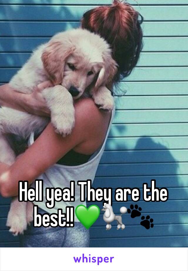 Hell yea! They are the best!!💚🐩🐾