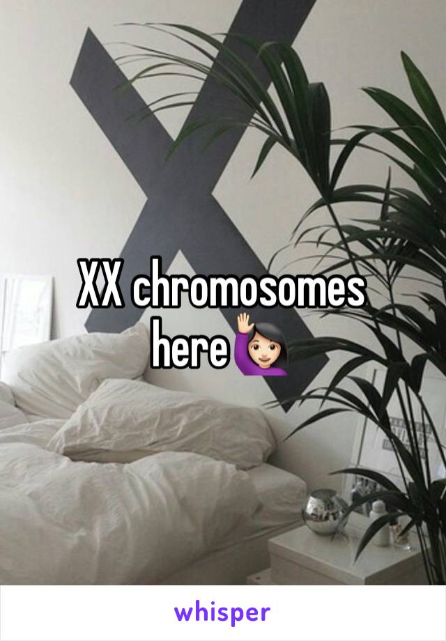 XX chromosomes here🙋🏻