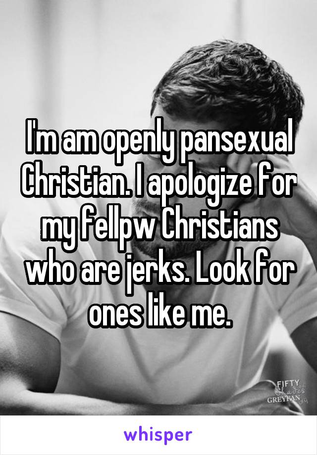 I'm am openly pansexual Christian. I apologize for my fellpw Christians who are jerks. Look for ones like me.