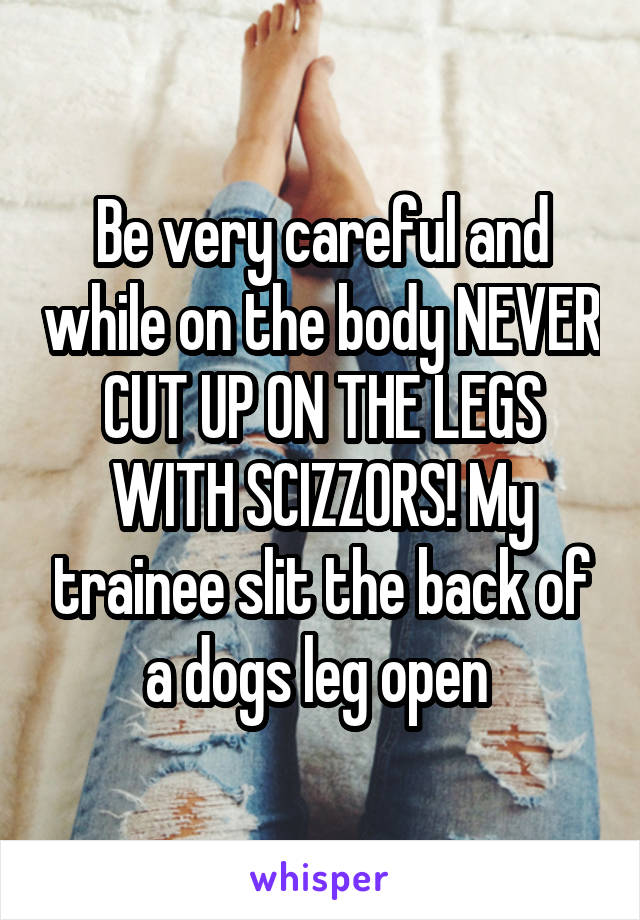 Be very careful and while on the body NEVER CUT UP ON THE LEGS WITH SCIZZORS! My trainee slit the back of a dogs leg open 