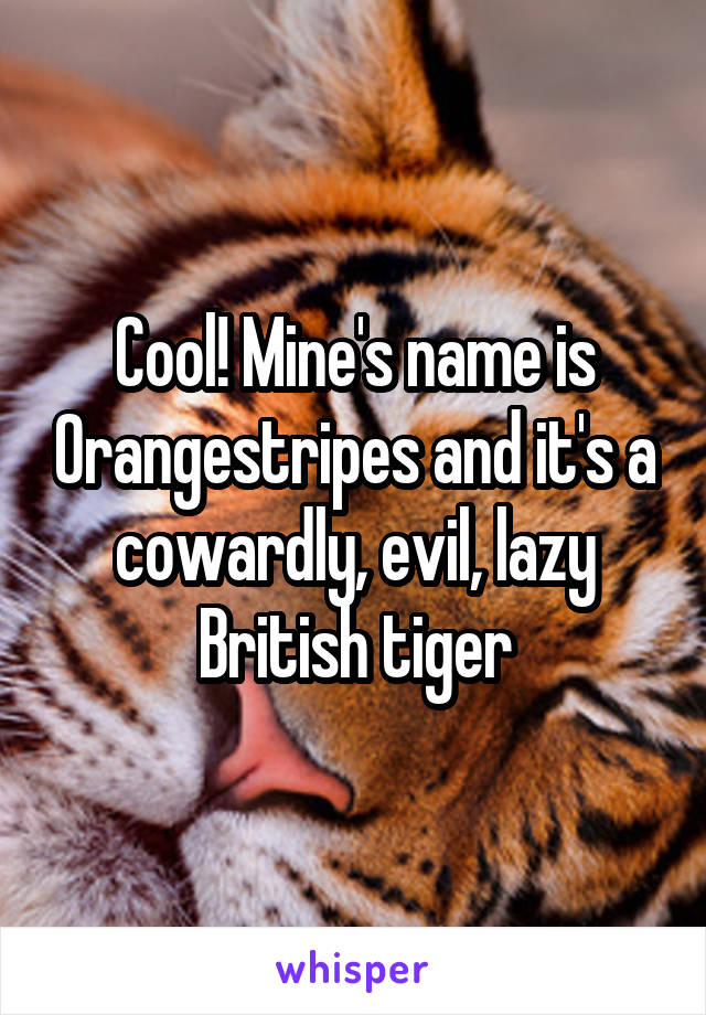 Cool! Mine's name is Orangestripes and it's a cowardly, evil, lazy British tiger