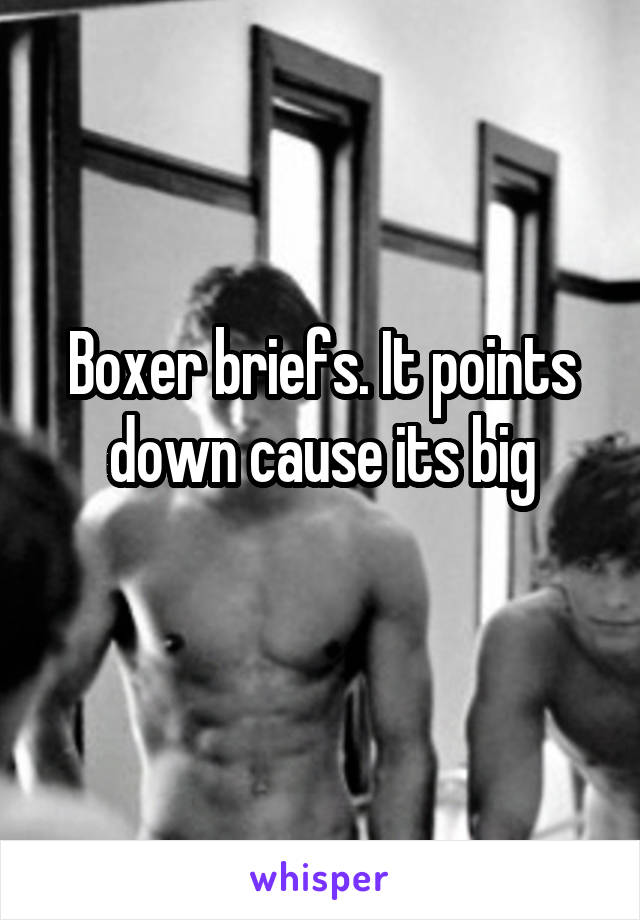 Boxer briefs. It points down cause its big
