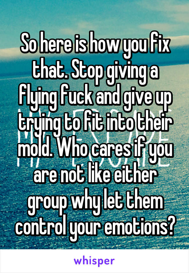 So here is how you fix that. Stop giving a flying fuck and give up trying to fit into their mold. Who cares if you are not like either group why let them control your emotions?