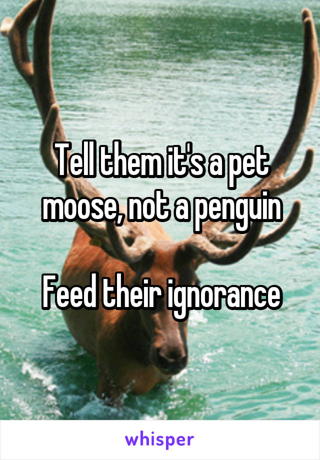 Tell them it's a pet moose, not a penguin

Feed their ignorance