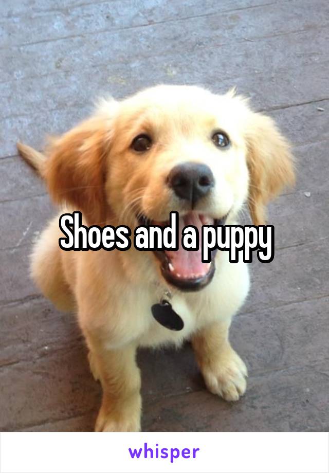 Shoes and a puppy