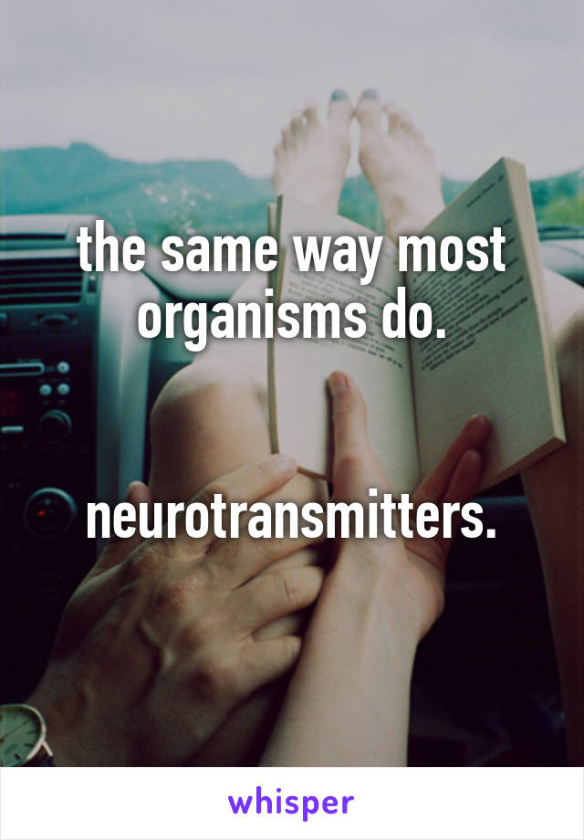 the same way most organisms do.


neurotransmitters.
