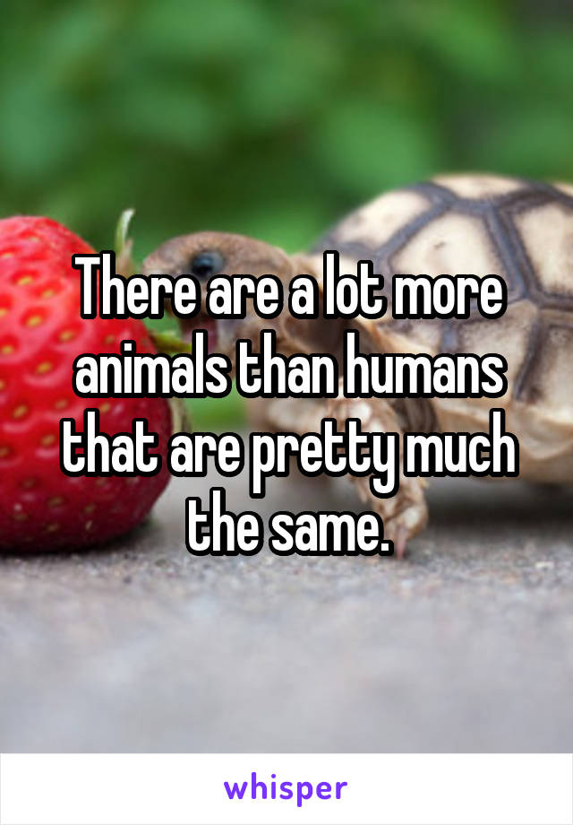 There are a lot more animals than humans that are pretty much the same.