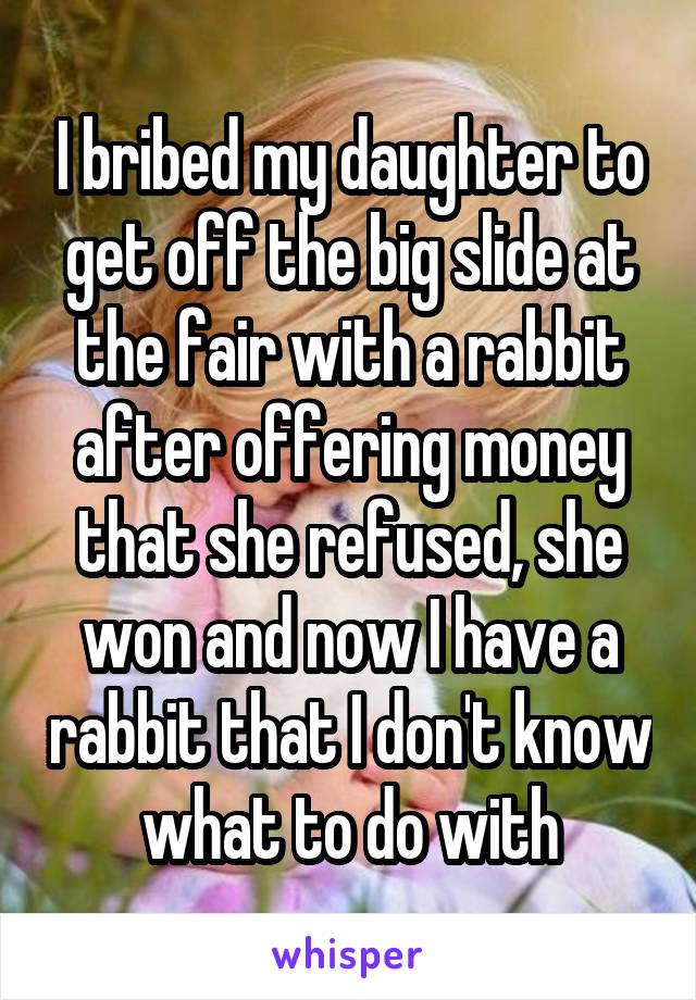 I bribed my daughter to get off the big slide at the fair with a rabbit after offering money that she refused, she won and now I have a rabbit that I don't know what to do with