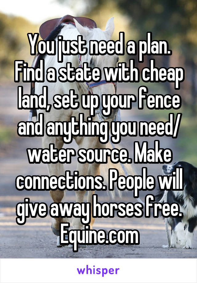 You just need a plan. Find a state with cheap land, set up your fence and anything you need/ water source. Make connections. People will give away horses free. Equine.com