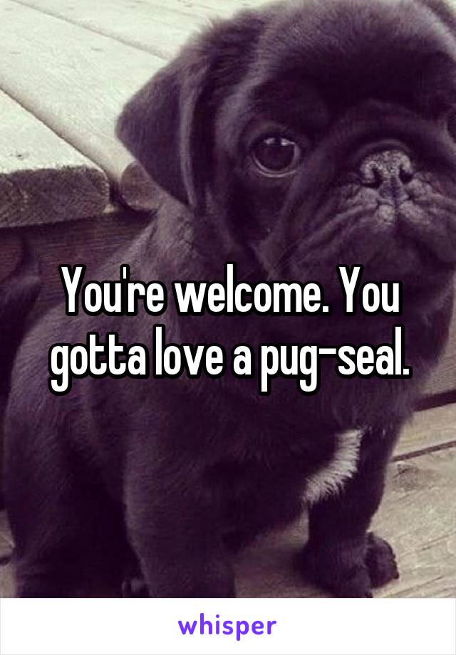 You're welcome. You gotta love a pug-seal.