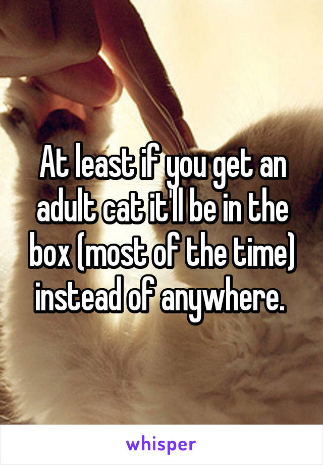 At least if you get an adult cat it'll be in the box (most of the time) instead of anywhere. 
