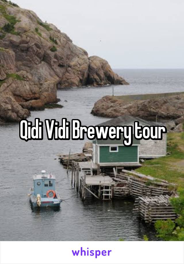 Qidi Vidi Brewery tour