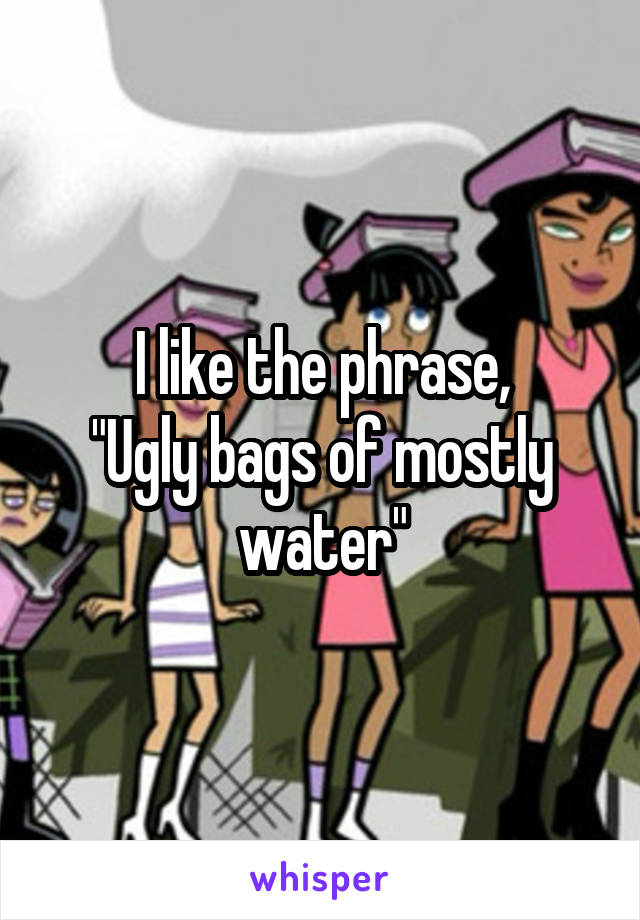 I like the phrase,
"Ugly bags of mostly water"