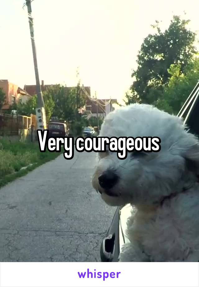 Very courageous 