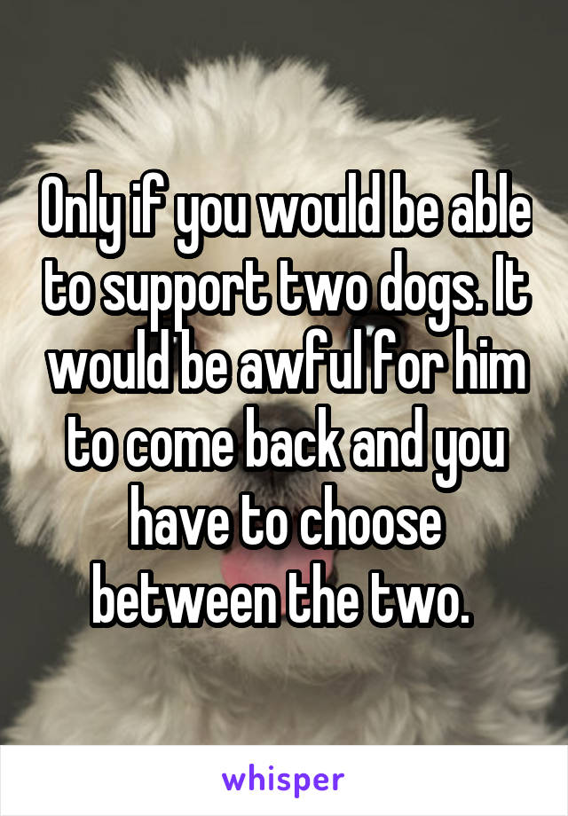 Only if you would be able to support two dogs. It would be awful for him to come back and you have to choose between the two. 