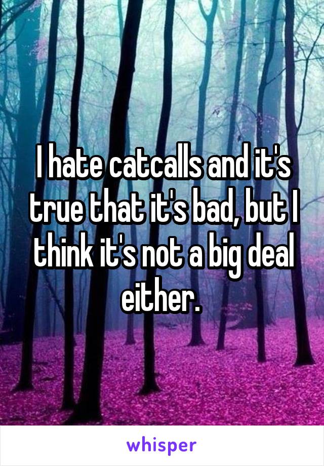 I hate catcalls and it's true that it's bad, but I think it's not a big deal either. 