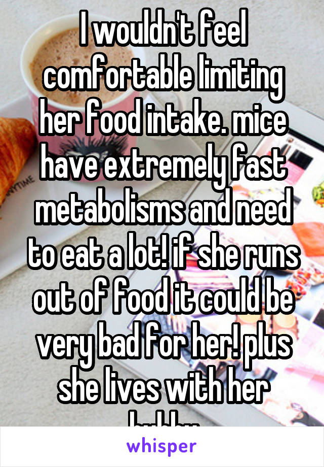 I wouldn't feel comfortable limiting her food intake. mice have extremely fast metabolisms and need to eat a lot! if she runs out of food it could be very bad for her! plus she lives with her hubby