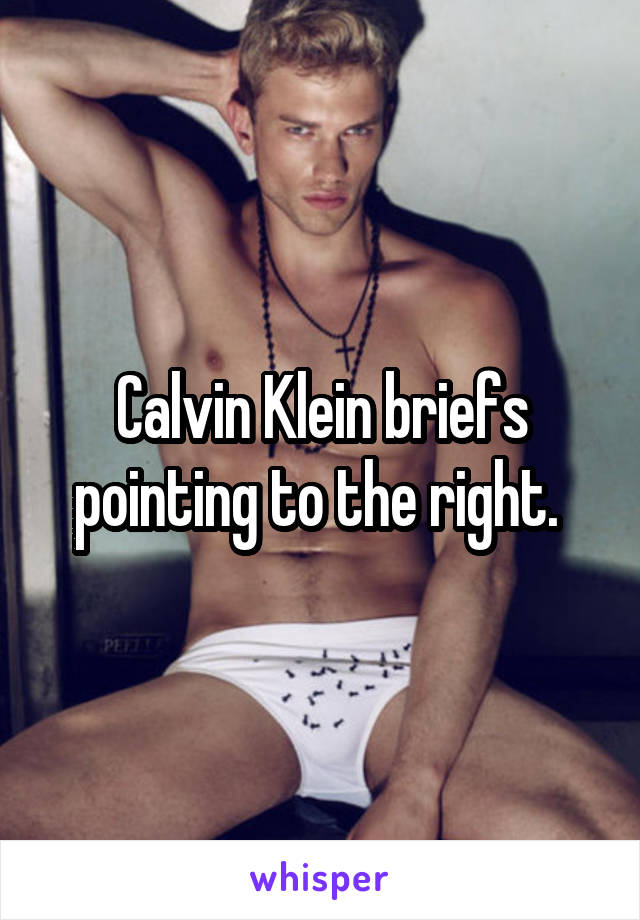 Calvin Klein briefs pointing to the right. 