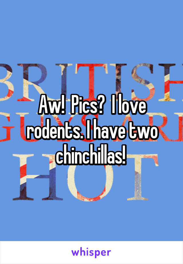 Aw!  Pics?  I love rodents. I have two chinchillas! 