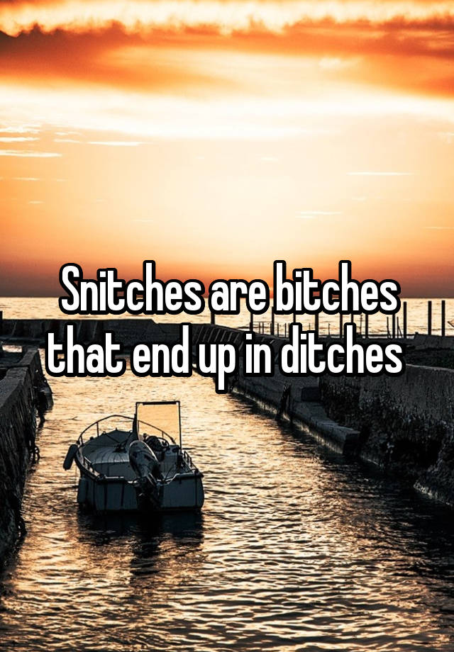 Snitches Are Bitches That End Up In Ditches 4655