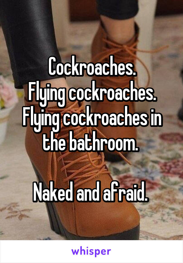 Cockroaches.
Flying cockroaches.
Flying cockroaches in the bathroom. 

Naked and afraid. 