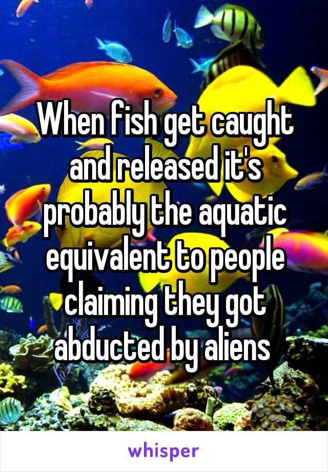 When fish get caught and released it's probably the aquatic equivalent to people claiming they got abducted by aliens 