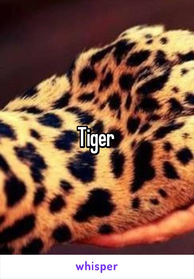 Tiger 