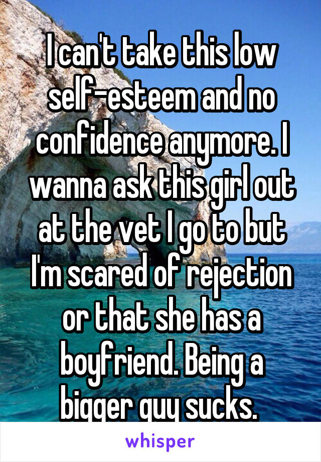 I can't take this low self-esteem and no confidence anymore. I wanna ask this girl out at the vet I go to but I'm scared of rejection or that she has a boyfriend. Being a bigger guy sucks. 