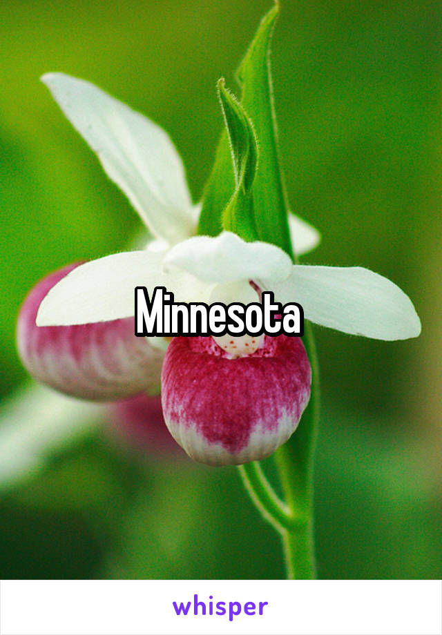 Minnesota 