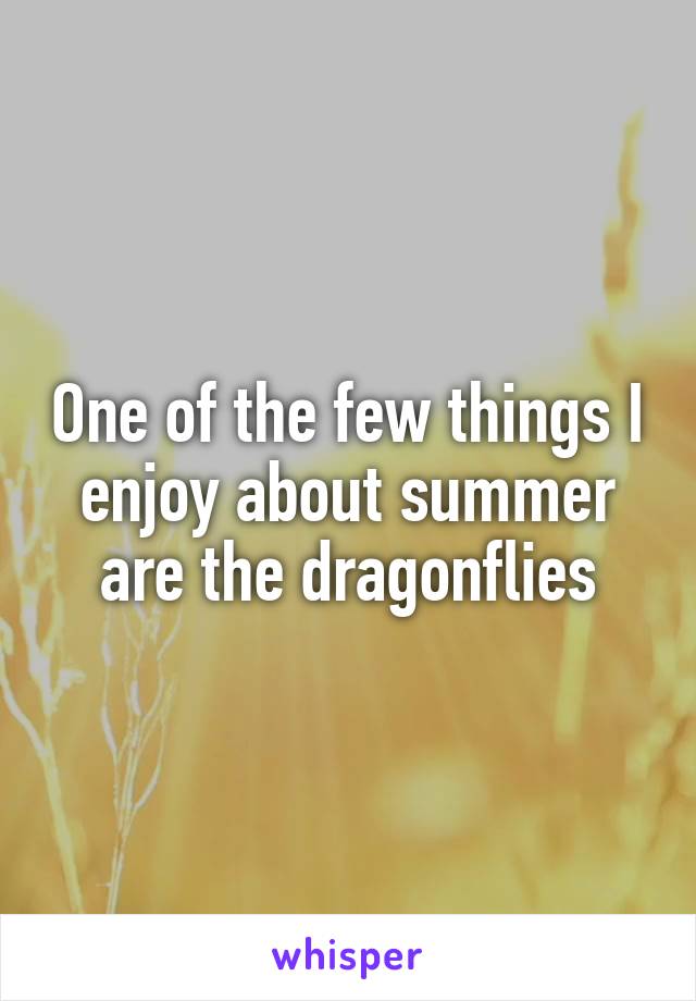 One of the few things I enjoy about summer are the dragonflies