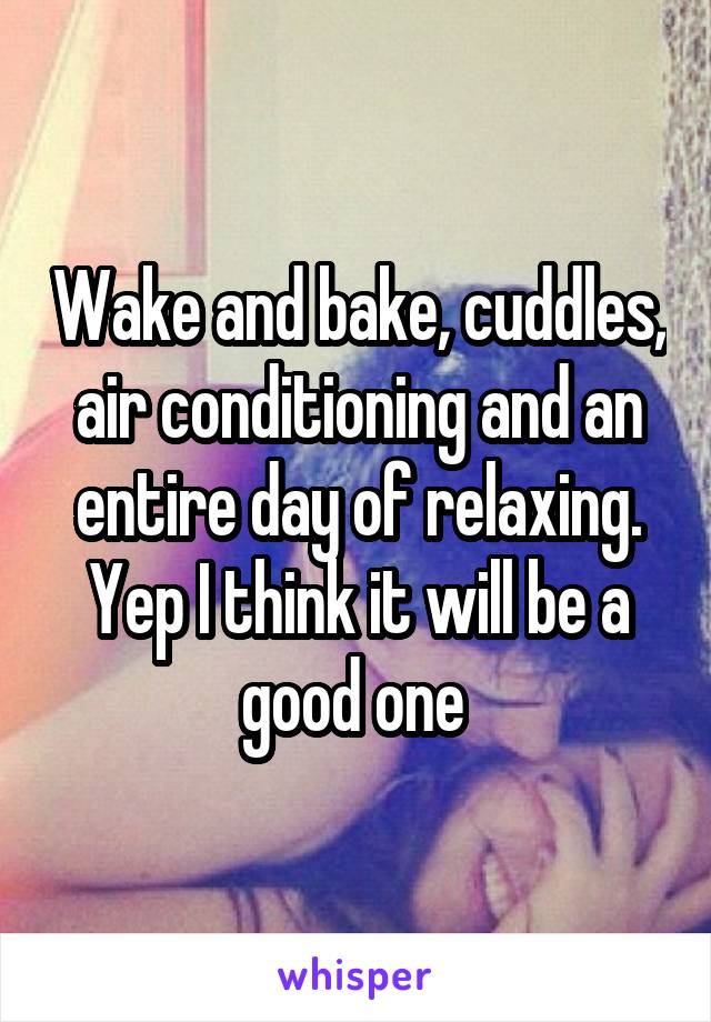 Wake and bake, cuddles, air conditioning and an entire day of relaxing. Yep I think it will be a good one 