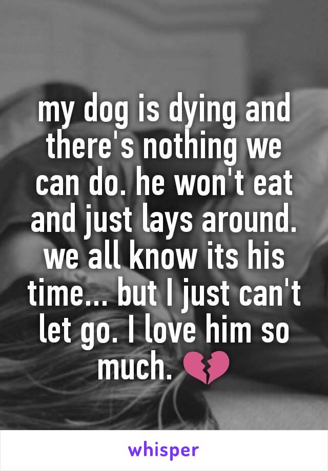 my dog is dying and there's nothing we can do. he won't eat and just lays around. we all know its his time... but I just can't let go. I love him so much. 💔