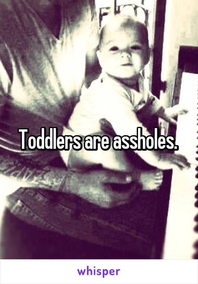 Toddlers are assholes. 