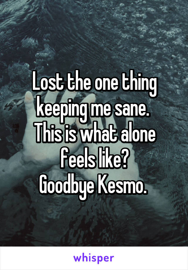 Lost the one thing keeping me sane. 
This is what alone feels like?
Goodbye Kesmo. 