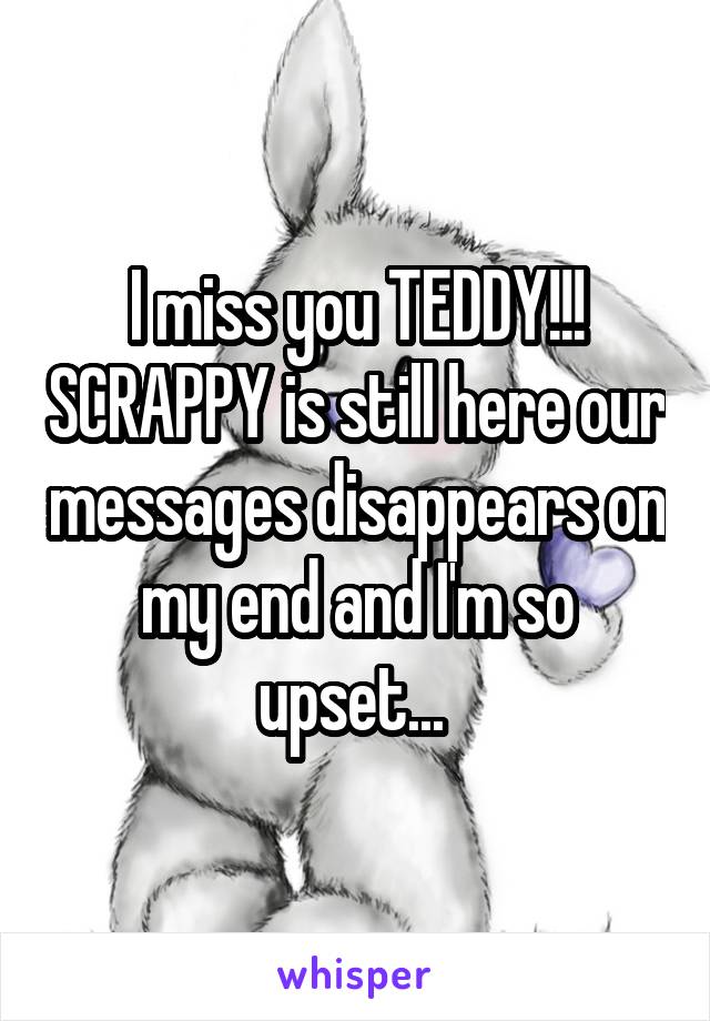 I miss you TEDDY!!! SCRAPPY is still here our messages disappears on my end and I'm so upset... 