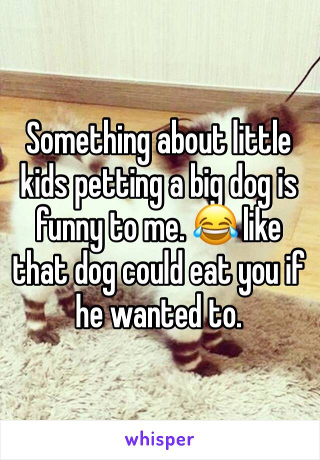 Something about little kids petting a big dog is funny to me. 😂 like that dog could eat you if he wanted to. 