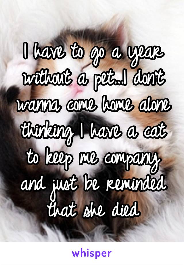 I have to go a year without a pet...I don't wanna come home alone thinking I have a cat to keep me company and just be reminded that she died