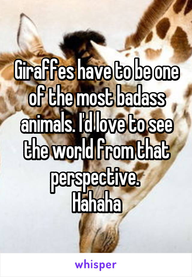 Giraffes have to be one of the most badass animals. I'd love to see the world from that perspective. 
Hahaha