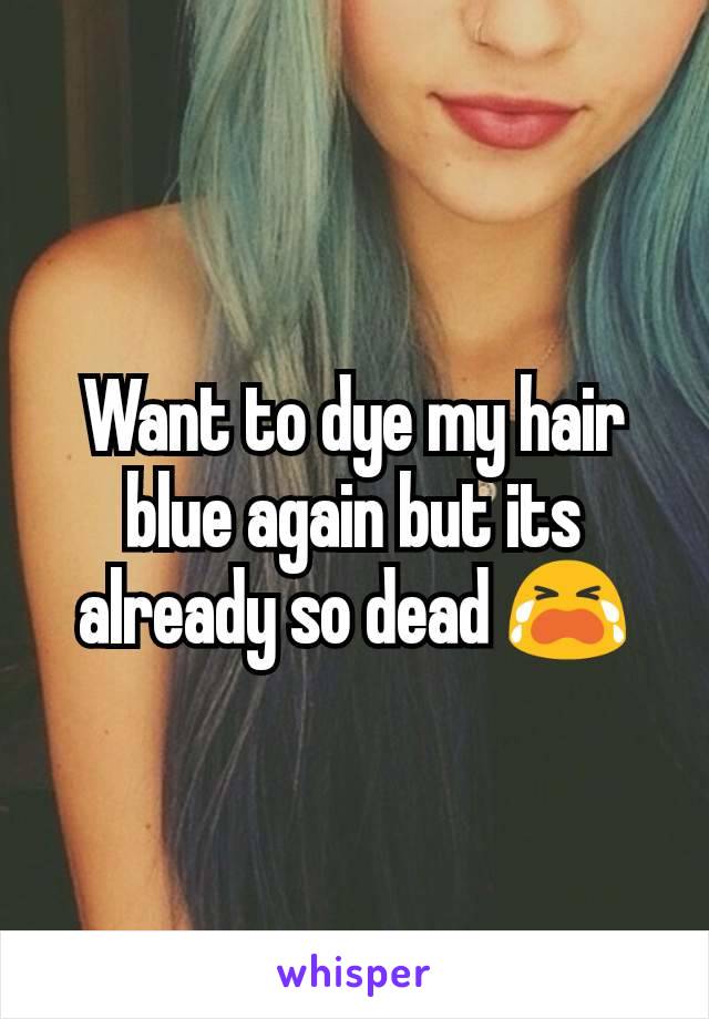 Want to dye my hair blue again but its already so dead 😭