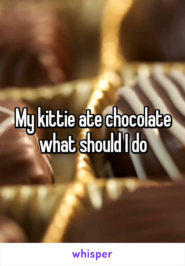 My kittie ate chocolate what should I do