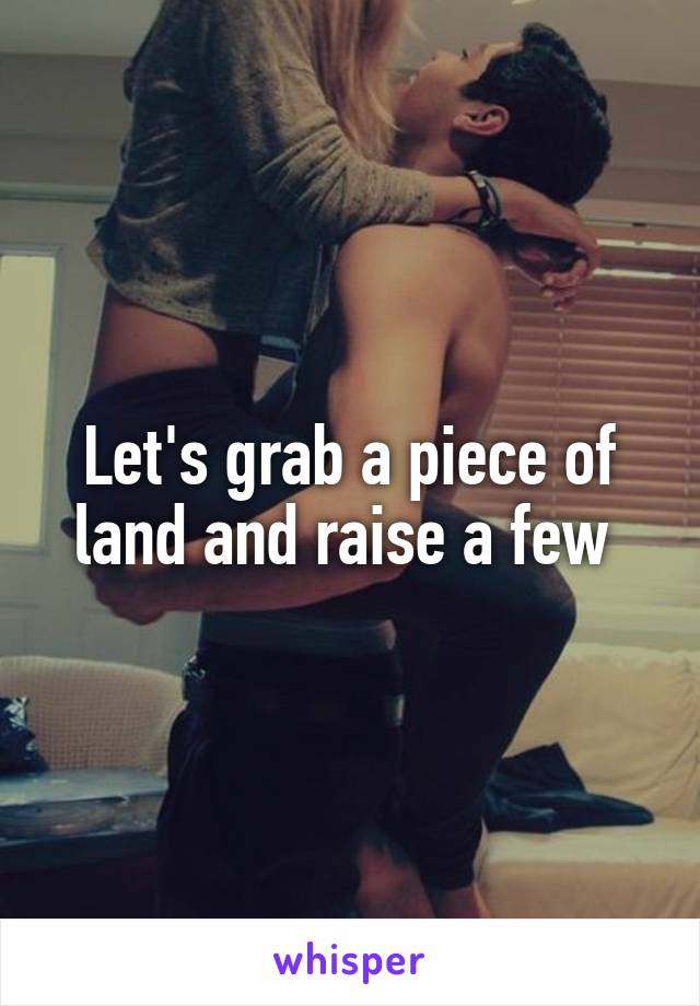 Let's grab a piece of land and raise a few 